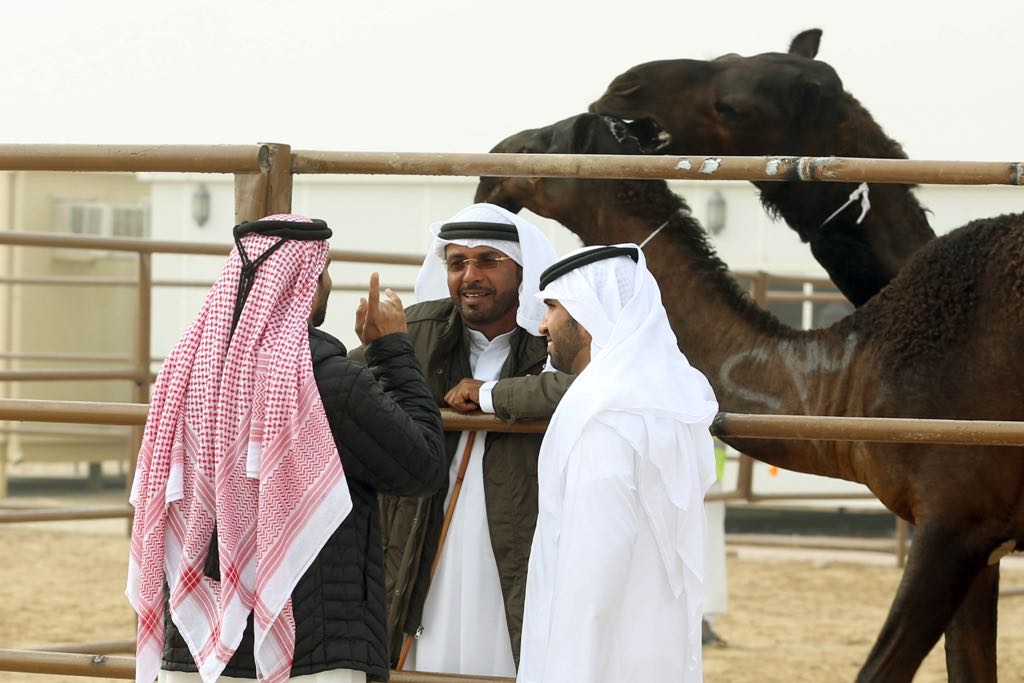 على أنغام الأهازيج الشعبية والعروض الفلكلورية انطلاق فعاليات  مهرجان الظفرة