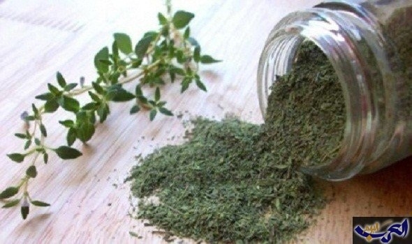فوائد الزعتر يفيد في تنقية المعدة والصدر والكبد