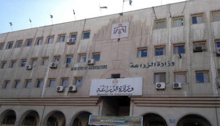 وزارة الزراعة : رسالة المزارع حول استيراد الموز عارية عن الصحة ولا تمس الحقيقة