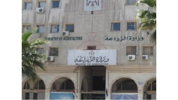 الزراعة: فيديوهات ‘‘بطيخ المبيدات‘‘ ليست أردنية.