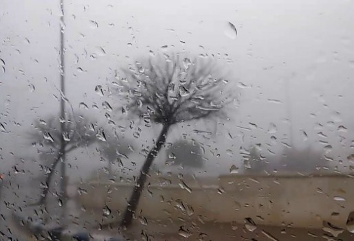 امطار في شمال ووسط المملكة و تشكل الضباب و اجواء باردة
