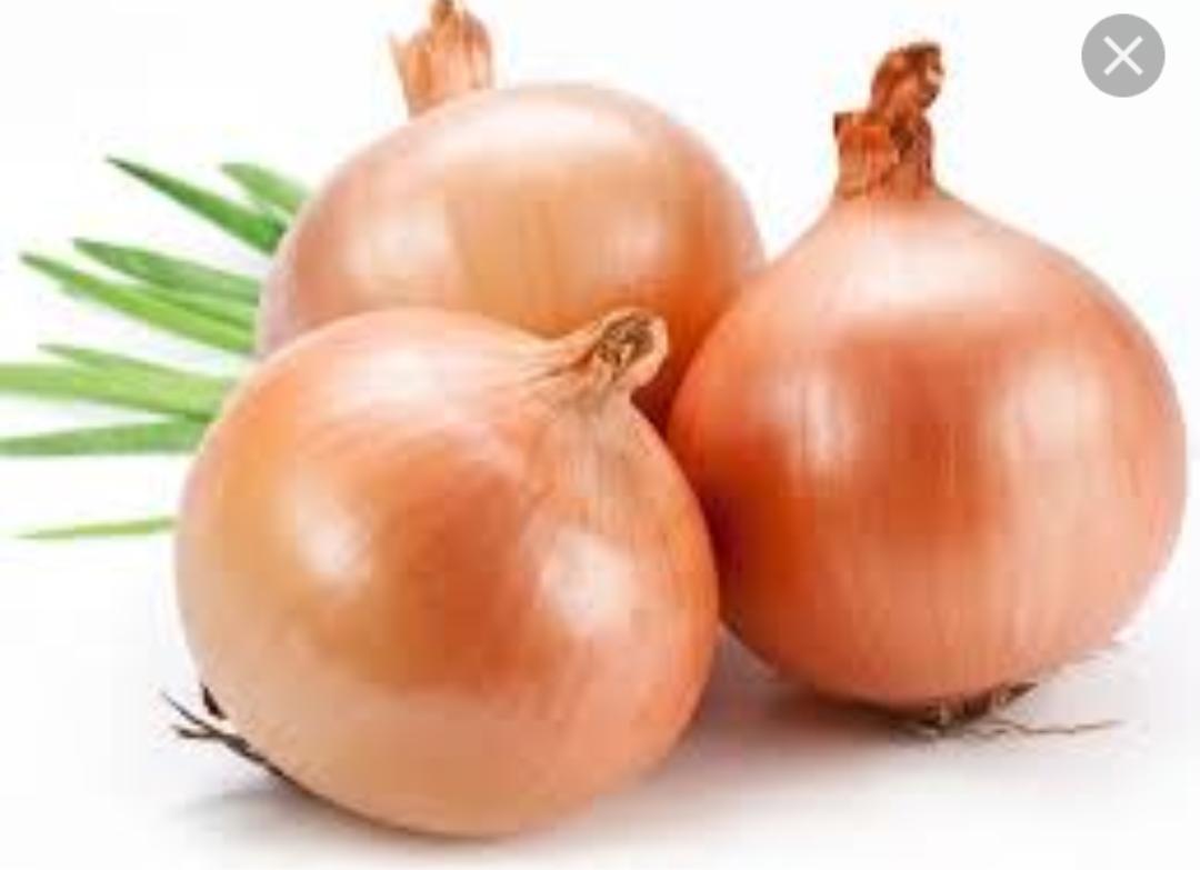 الزراعة: استمرار اغلاق باب استيراد البصل حتى نهاية العام.