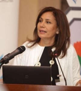 وزيرة الطاقة تكشف سبب ارتفاع اسعار الكهرباء في الاردن