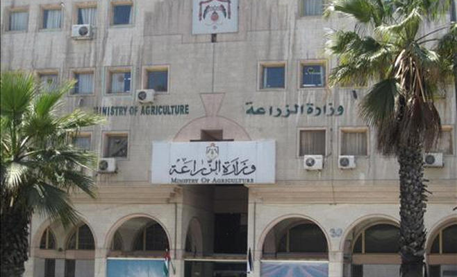 الزراعة : منعنا استيراد سمك البلطي المصري والاسرائيلي وذلك منذ منتصف العام الماضي.