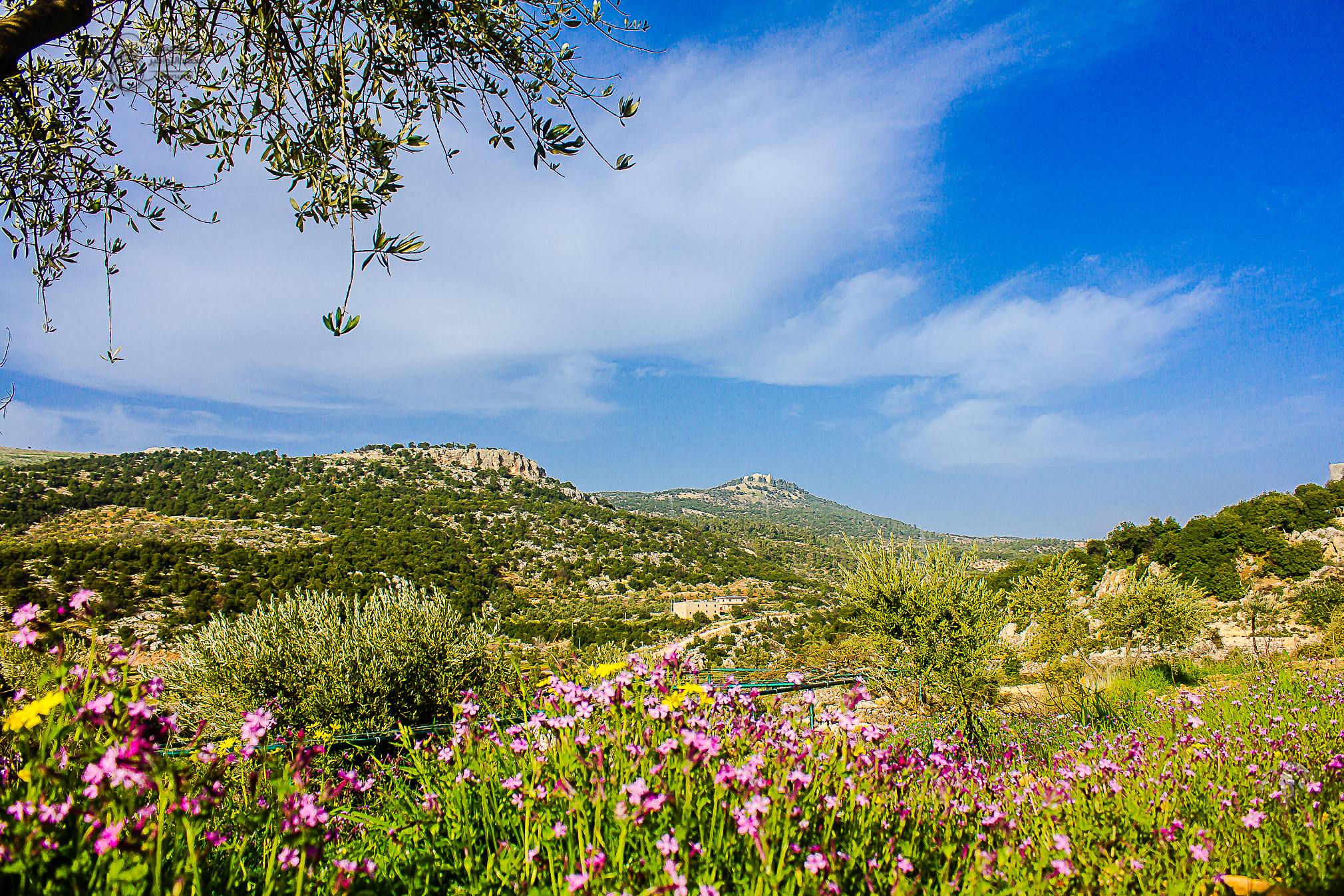 تعرف على حالة الطقس ليومي الثلاثاء والأربعاء