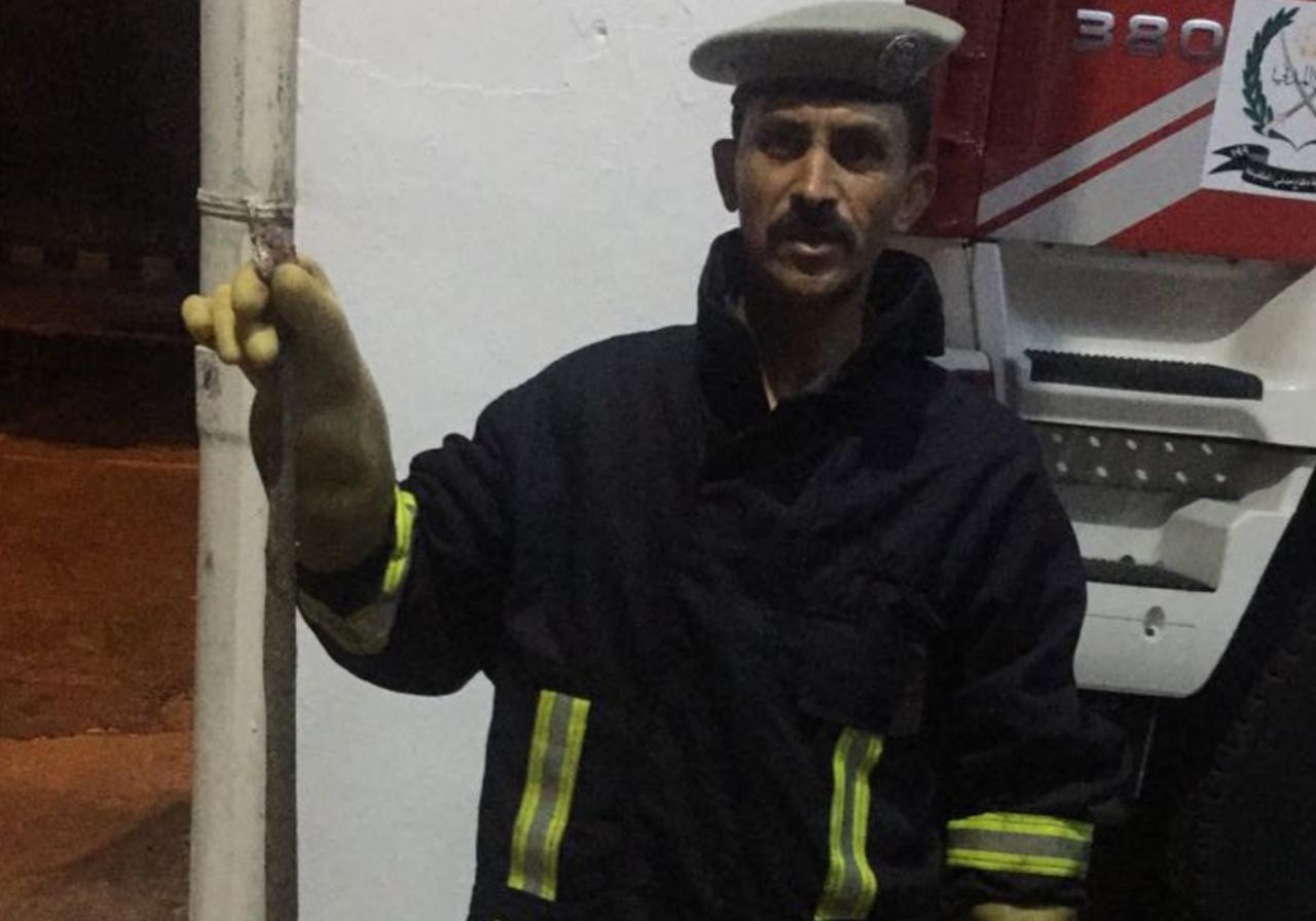 الدفاع المدني يقتل أفعى سامة في محافظة الطفيلة.