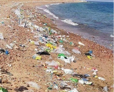 الفراية يكشف حقيقة الصورة المتداولة المنسوبة لــ  شاطىء الغندور  في العقبة