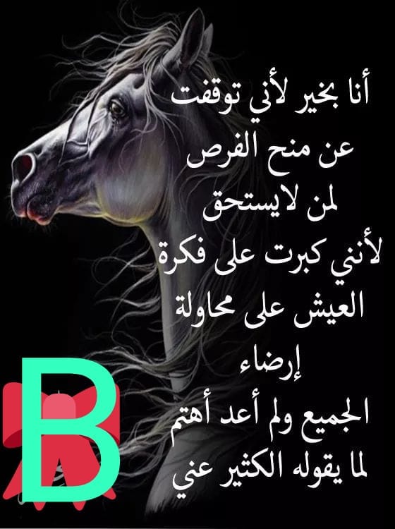 العجارمة: نسبة النجاح في امتحان الكفايات كانت أقل من 10.