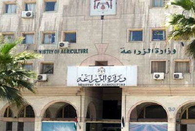 الزراعة تمديد المهلة لمستوردي الأرز لتطبيق الحدود القصوى لمتبقيات المبيدات