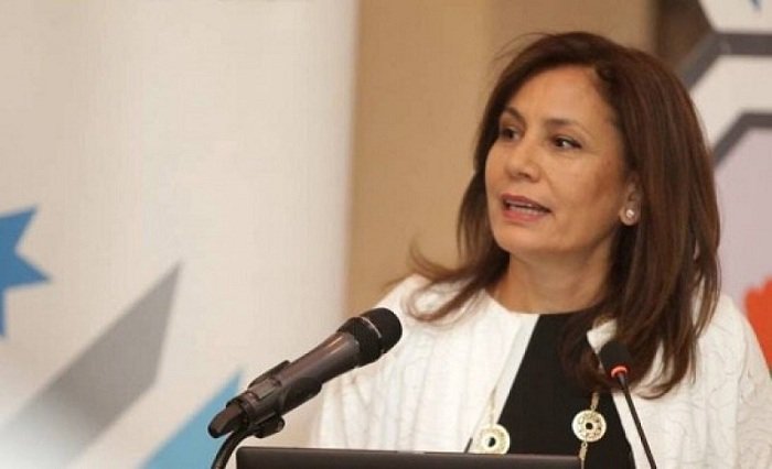 زواتي: بند فرق أسعار الوقود على الكهرباء سينخفض العام المقبل