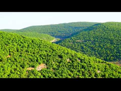 مطالب بتنشيط السياحة الداخلية في عجلون