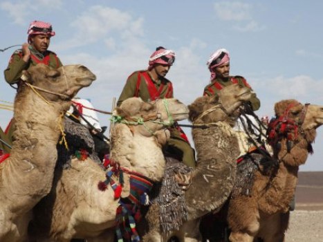مرتبات وحدة الهجانة تنقذ ١٢ سائحاً فرنسياً في منطقة الضاحك حدود العمري..