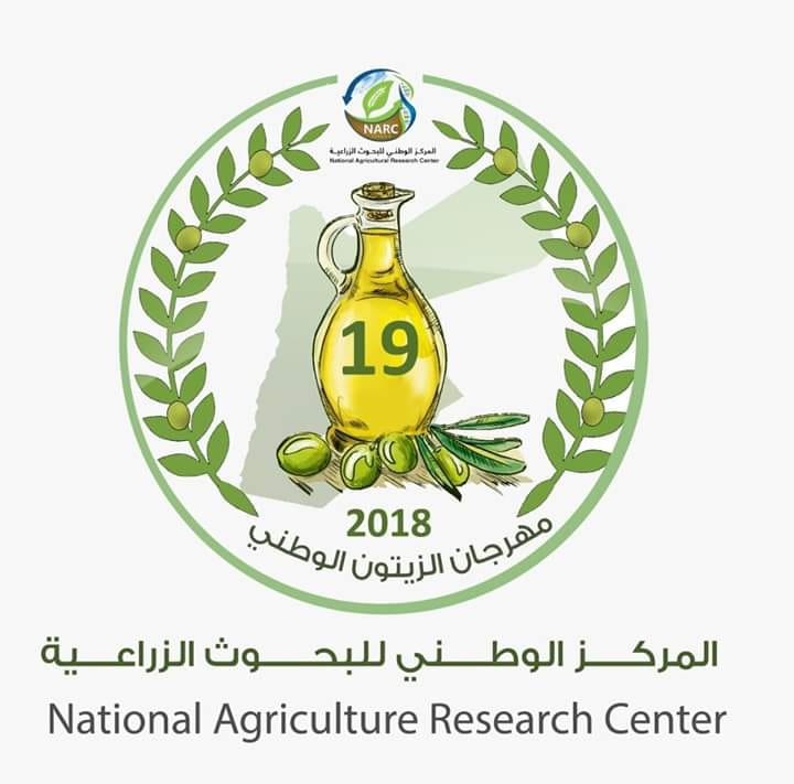 مهرجان الزيتون ومعجزة التنمية المحلية.