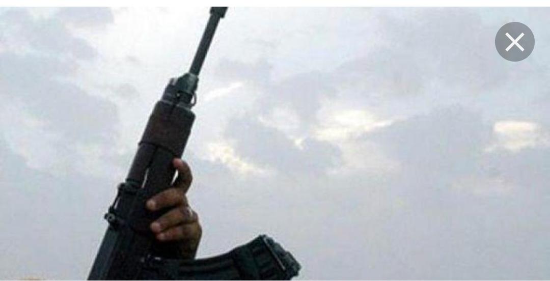 عاجل ...ضبط شخصين من جنسية عربية اطلقا أعيرة نارية في عين الباشا
