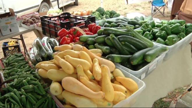 اعادة 54 طن محاصيل زراعية إلى بلد المنشأ العام الماضي