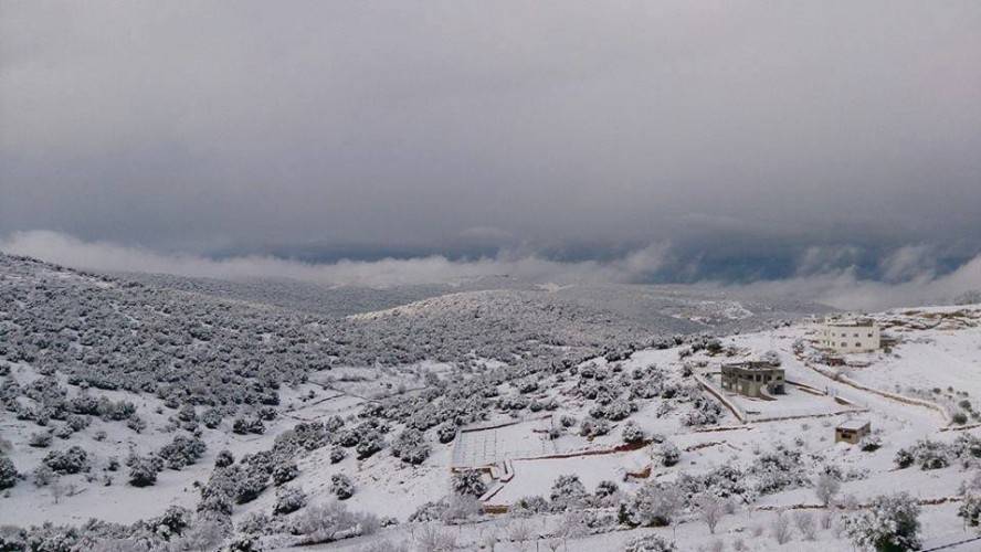 شباط .. شهر بارد وماطر وفرصة للثلوج بمشيئة الله