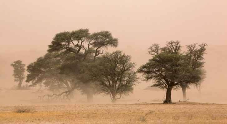 الثلاثاء .. رياح شرقية قوية وطقس بارد وتحذيرات من تدني مدى الرؤية الأفقية بسبب الغبار