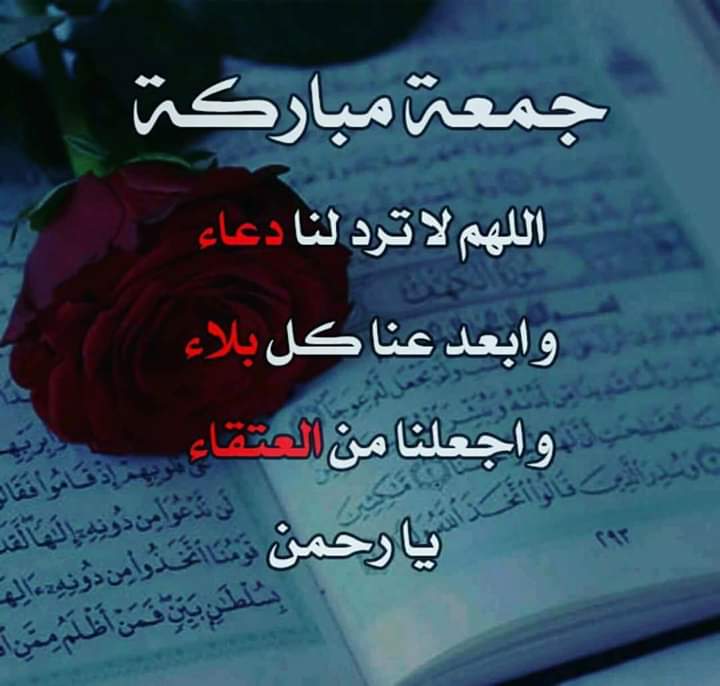 ادخلوها بسلام آمنين هي مبادرة يطلقها شباب الخير