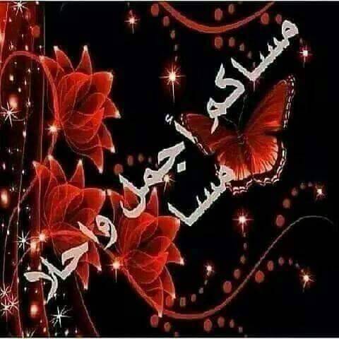 الضمور ناطقاً إعلامياً للأمانة