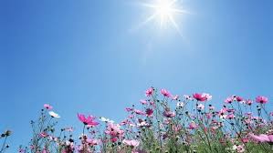 طقس ربيعي مُشمس ومُستقر والحرارة إلى ارتفاع
