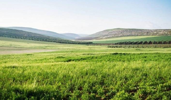 طقس ربيعي دافئ اليوم