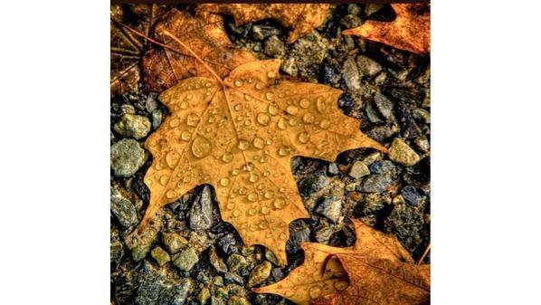 اجواء خريفية معتدلة للايام الثلاثة المقبلة