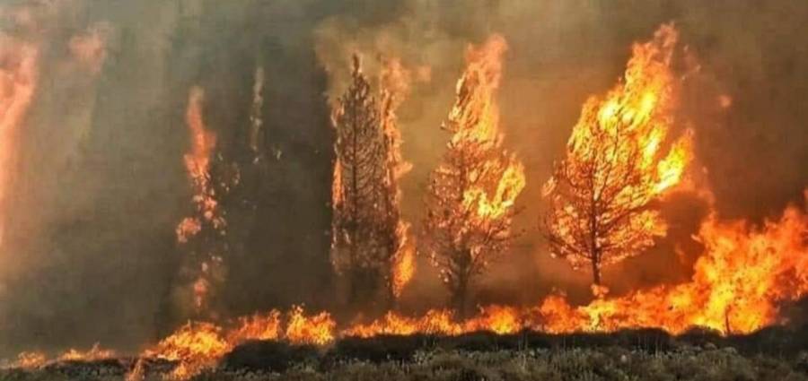 حرائق هائلة في لبنان تهدد البيوت والمدارس ...فيديو