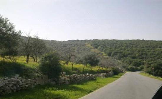 عاجل : اعلان تشغيل سوريين في بلدية برقش يثير غضب المواطنين .. ورئيس البلدية يوضح لسرايا