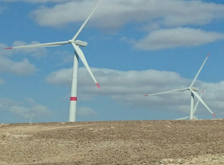 عاجل : انهاء خدمات مدير الأمن في مشروع رياح الشوبك في اعقاب تصريح صحافي