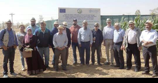 الوطني للبحوث الزراعية: نسعى للتوسع في مساحات إنتاج الأعلاف في أراضي المراعي الجافة والمالحة