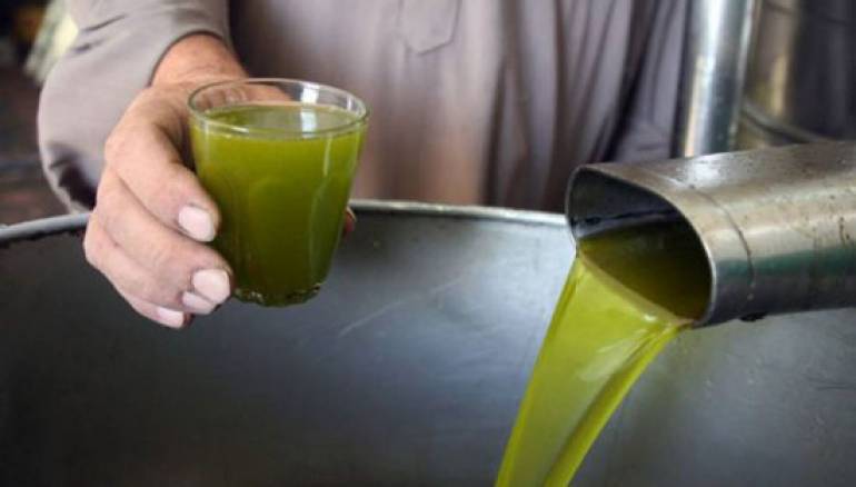 أسعار زيت الزيتون تتراجع بنسبة 10 .. وثمن التنكة يصل لـ 90 دينار