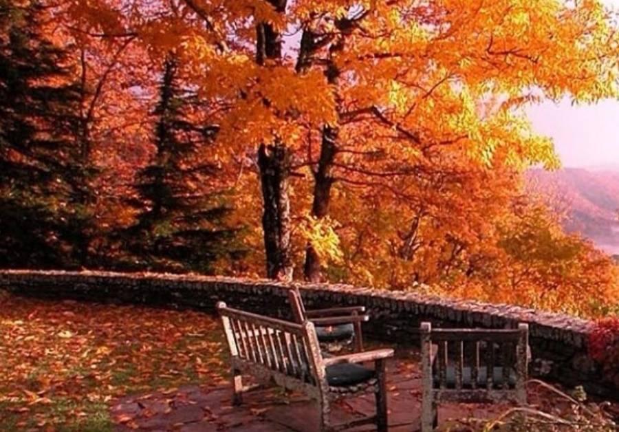 طقس خريفي معتدل نهارا وبارد ليلا ليوم الثلاثاء