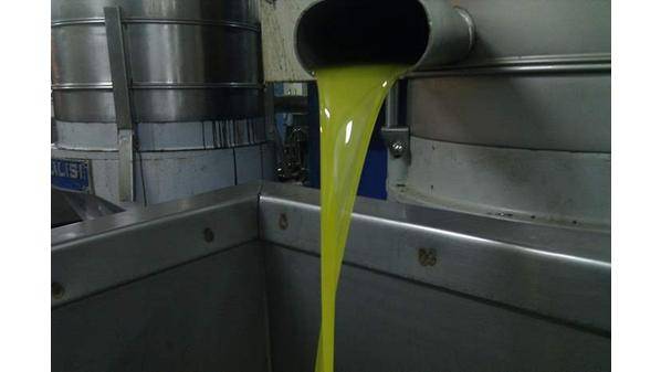 اقبال ملحوظ على شراء زيت الزيتون