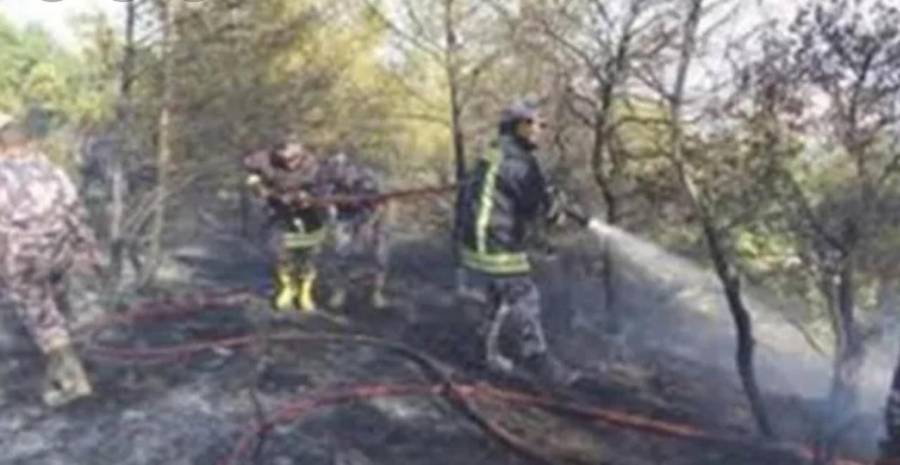 الدفاع المدني يخمد حريق مزرعة موز الشونه الجنوبية