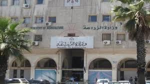 الزراعة: 1400 طن من البذار متوفرة للزراعات الحقلية