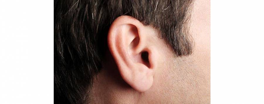 مصدر امني يوضح حقيقة أكل زوجة لاذن زوجها بطبربور؟