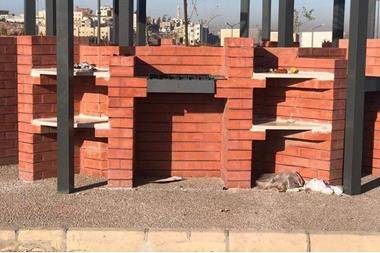 شاهد رد امانة عمان على صور الحدلئق