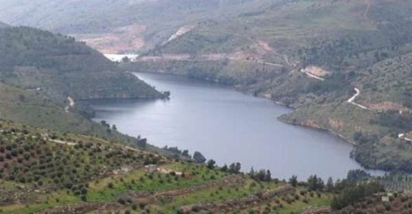 اعلان مهم الى مالكي اراض في الشونة الجنوبية