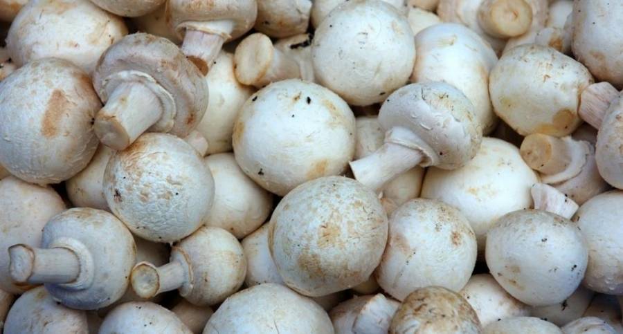 تعرض سبع مواطنين لحالات تسمم في سحاب