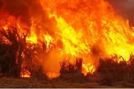 وفاة طفلين وإصابة أربعة أشخاص آخرين إثر حريق شقة في محافظة العاصمة