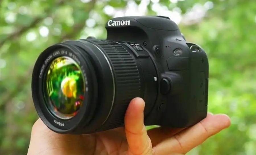 البرماوي: انهاء ازمة مصوري بترا