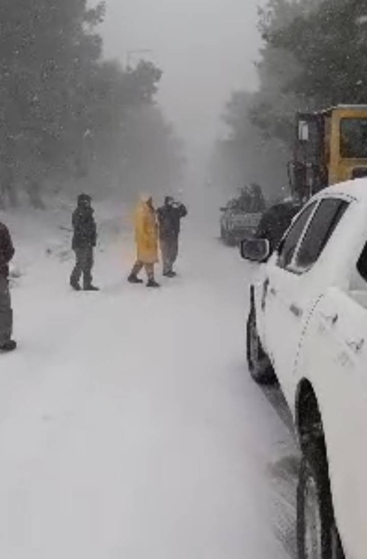 الخوالدة : استمرار تساقط الثلوج بكثافة على القادسية بالطفيلة.. صور