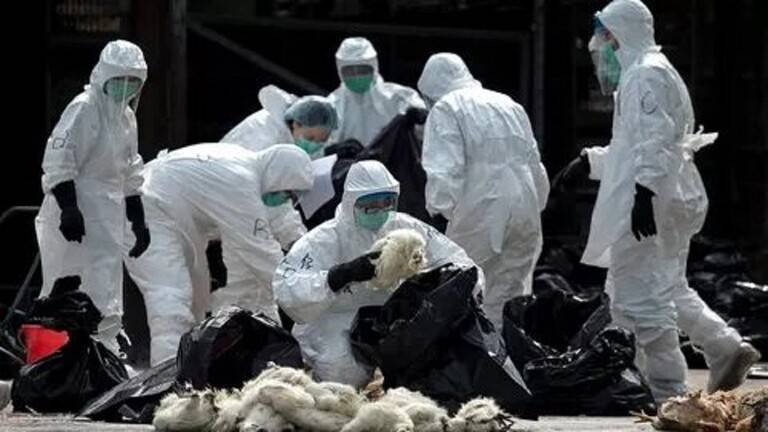 أطباء: فيروس كورونا الجديد ينتقل من إنسان إلى آخر