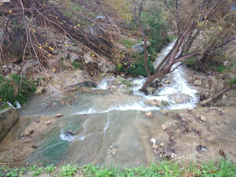 عجلون: تفجر ينابيع المياه يحقق آمال المزارعين بموسم واعد