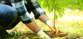 «الزراعة»: لن نمنح تصاريح لإدخال منتجات في ذروة الانتاج المحلي