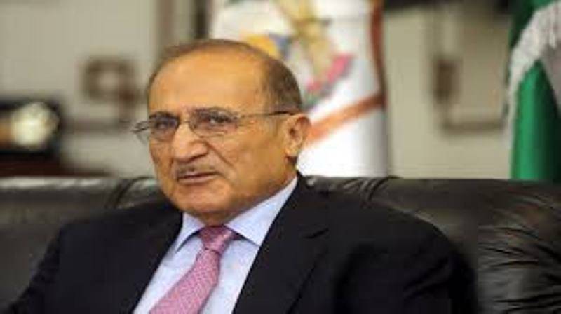 العناني: الأردنيون واعون لخطورة صفقة القرن