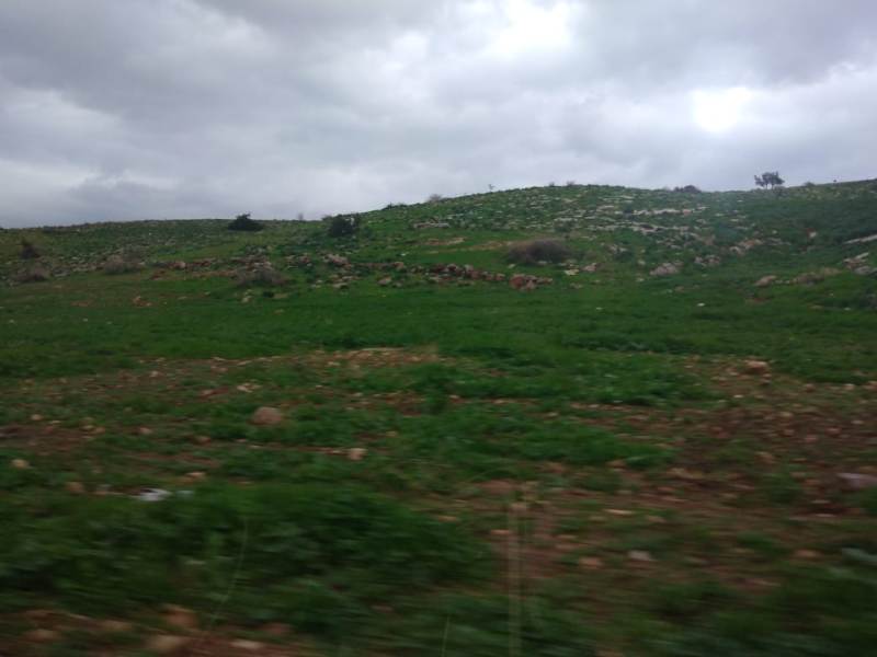 الموسم المطري يضع محافظة عجلون على موعد مع رواد التبقل