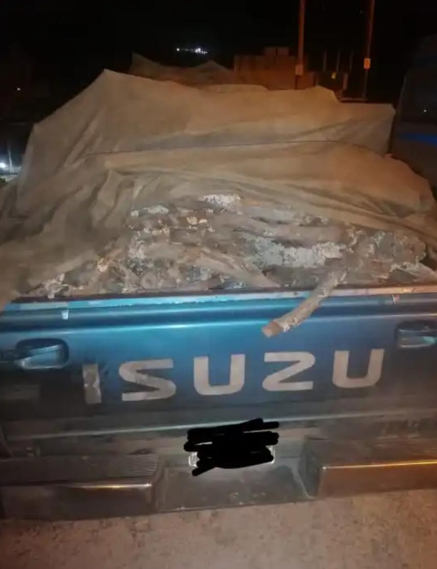 ضبط مركبة محملة بحطب السنديان في جرش