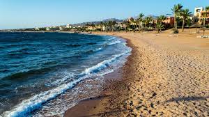 الأراجيل و الخيول والبسطات العشوائية تغزو شاطئ العقبة بعيداً عن أعيُن الجهات المختصة