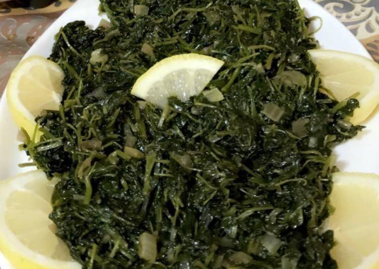 14 شباط .. مهرجان الخبيزة بالأردن